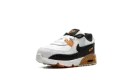 Air Max 90 LTR TD "PURE PLATINUM" CD6868 023