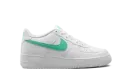 Air Force 1 Low GS "Summit White Emerald Rise" DV7762 104