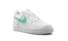 Air Force 1 Low GS "Summit White Emerald Rise" DV7762 104