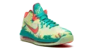 LeBron 9 Low "LeBronald Palmer" DO9355 300