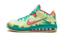 LeBron 9 Low "LeBronald Palmer" DO9355 300