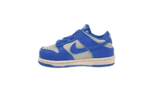 Dunk Low TD "Light Silver/LT Photo Blue" FB9107 004