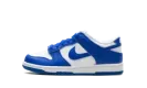 Dunk Low GS "Kentucky" FB9109 131