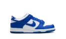 Dunk Low GS "Kentucky" FB9109 131