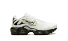Air Max Plus Big Kid "Layered Swoosh" DV7140 100