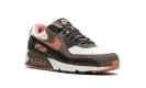 Air Max 90 "Ironstone Red Stardust" DM0029 105