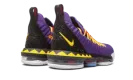 LEBRON XVI "Martin" CI1520 500