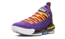 LEBRON XVI "Martin" CI1520 500