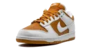 Dunk Low "Reverse Curry" FQ6965 700