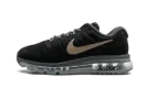 AIR MAX 2017 MNS WMNS "Bronze" 849560 008