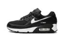 AIR MAX 90 MNS WMNS "Black/White" DH8010 002