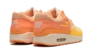 Air Max 1 "Puerto Rico - Orange Frost" FD6955 800