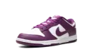 Dunk Low "Viotech" DV0833 107