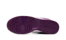 Dunk Low "Viotech" DV0833 107