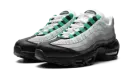 AIR MAX 95 NEXT NATURE WMNS "Stadium Green" DH8015 002