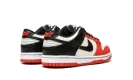 Dunk Low GS "NBA - Chicago Bulls" DO6288 100