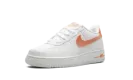 Air Force 1 NN GS KWE "Next Nature" FJ4669 100