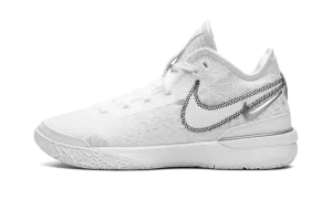 Zoom Lebron NXXT Gen "White / Metallic Silver" DR8784 101