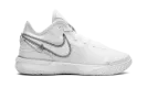 Zoom Lebron NXXT Gen "White / Metallic Silver" DR8784 101