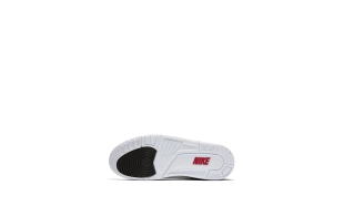 Air Jordan 3 - Fire Red Denim 2