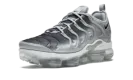 Air Vapormax Plus "Silver Gradient" 924453 007