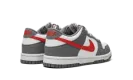 Dunk Low Next Nature GS "Smoke Grey" FB8038 001