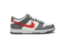 Dunk Low Next Nature GS "Smoke Grey" FB8038 001