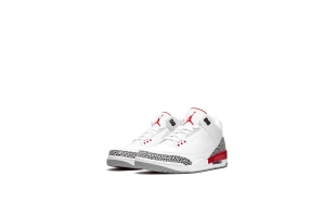 Air Jordan 3 - Katrina/Hall Of Fame 2