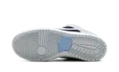 SB Dunk Low "Aluminum" HF3063 400