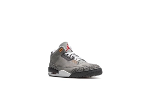 Air Jordan 3 - Cool Grey 2