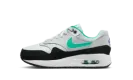 Air Max 1 Grade School "Tropical Twist" DZ3307 114