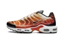 Air Max Plus "Light Photography - Sport Red" DZ3531 600