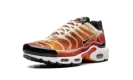 Air Max Plus "Light Photography - Sport Red" DZ3531 600