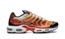 Air Max Plus "Light Photography - Sport Red" DZ3531 600