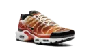 Air Max Plus "Light Photography - Sport Red" DZ3531 600