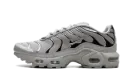 Air Max Plus HF GS "Light Iron" FZ0977 001