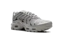 Air Max Plus HF GS "Light Iron" FZ0977 001