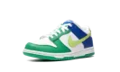 Dunk Low GS "Green/Blue" FN6973 100