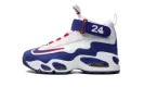 Air Griffey Max 1 GS "USA" DX3724 100