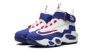 Air Griffey Max 1 GS "USA" DX3724 100