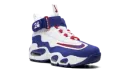 Air Griffey Max 1 GS "USA" DX3724 100