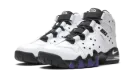 Air Max2 CB '94 "White / Varsity Purple" DD8557 100