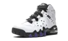 Air Max2 CB '94 "White / Varsity Purple" DD8557 100
