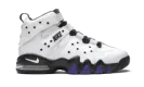 Air Max2 CB '94 "White / Varsity Purple" DD8557 100