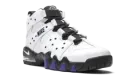 Air Max2 CB '94 "White / Varsity Purple" DD8557 100