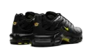 Air Max Plus "Wolf Grey Opti Yellow" DM0032 012
