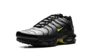 Air Max Plus "Wolf Grey Opti Yellow" DM0032 012