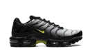 Air Max Plus "Wolf Grey Opti Yellow" DM0032 012