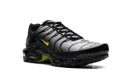 Air Max Plus "Wolf Grey Opti Yellow" DM0032 012