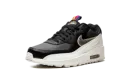 Air Max 90 LTR GS DJ0414 001